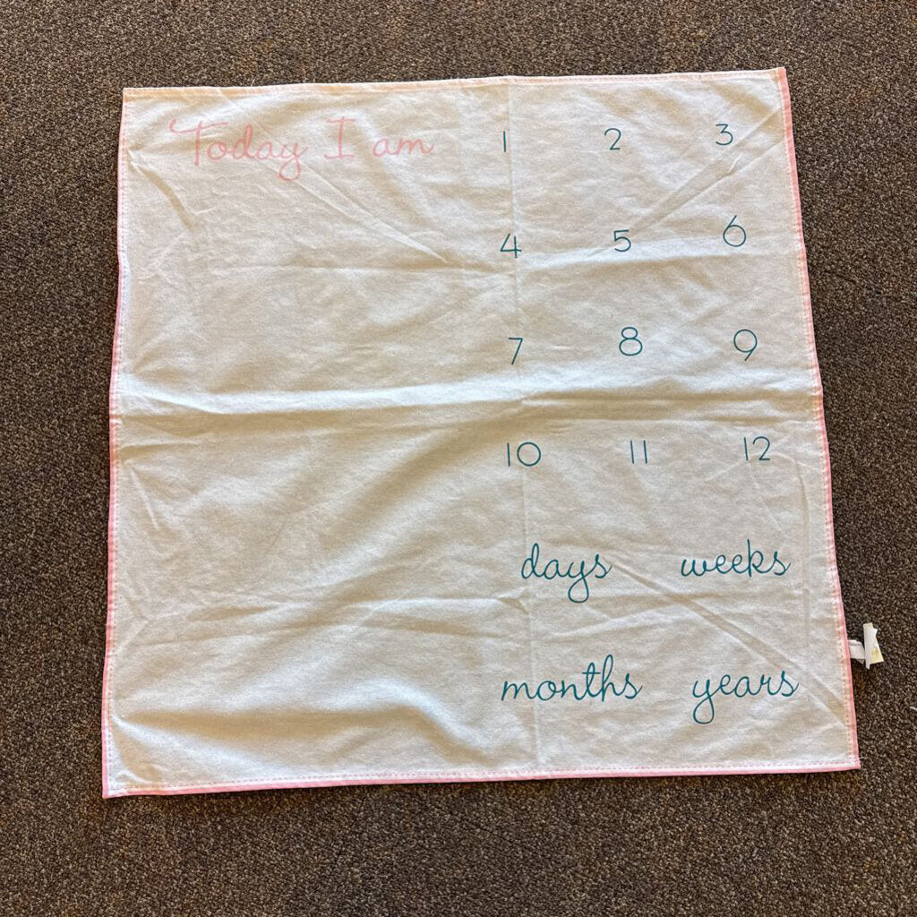 *Milestone Blanket
