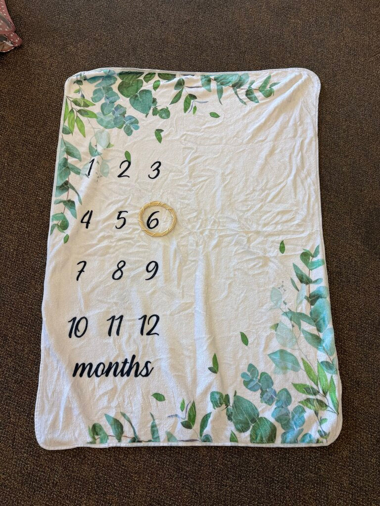 *Baby Monthly Milestones