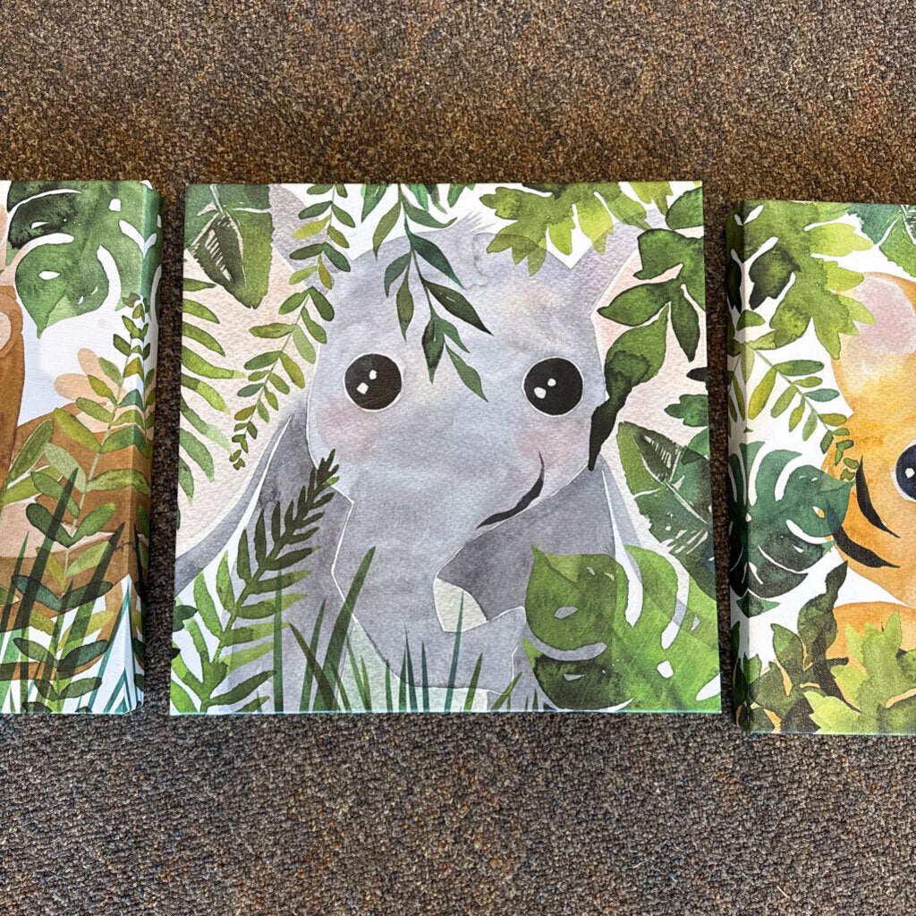 *3pk Jungle Animals