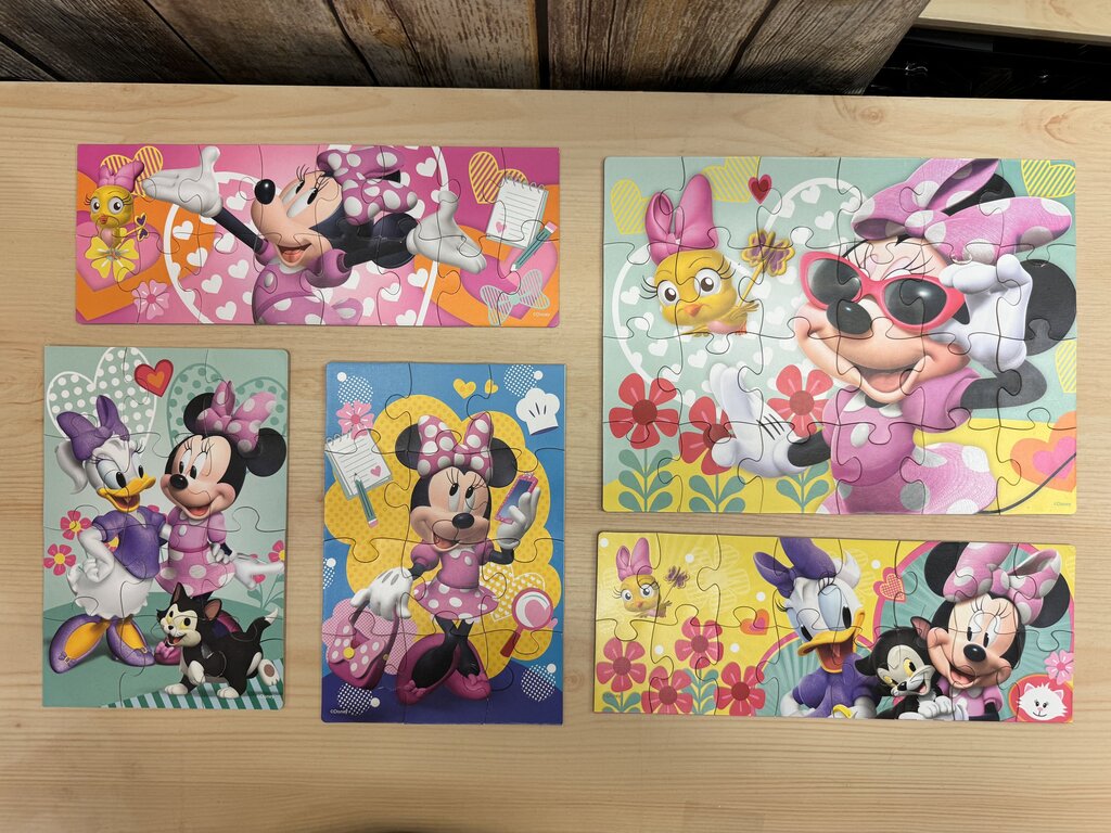 *5pk Puzzles w/storage box