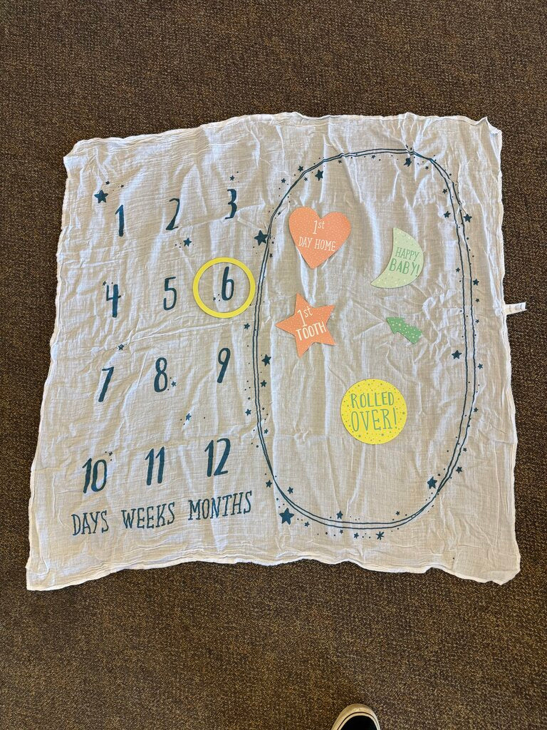 *NEW Milestone Blanket