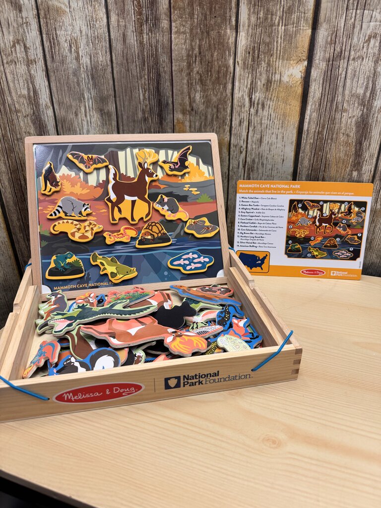 *Picture Matching Magnetic Game