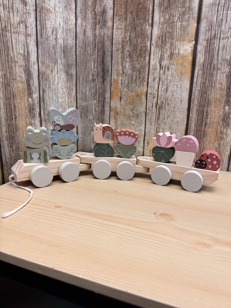 *3pc Pull Along Wooden Frog Train