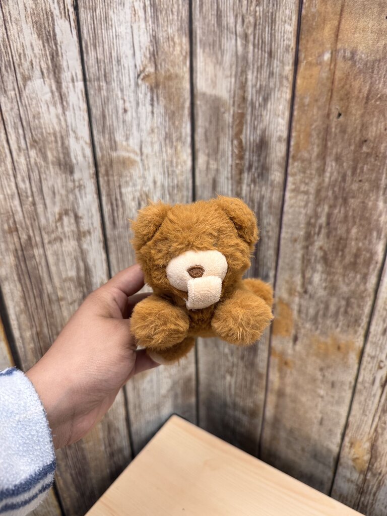 Bear