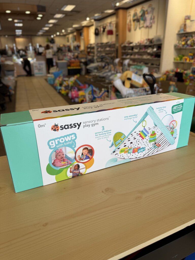 NEW Sensory Stations Play Gym