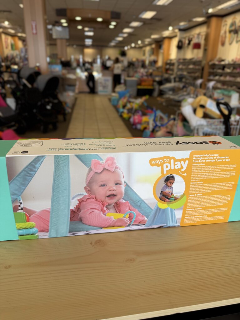 NEW Sensory Stations Play Gym