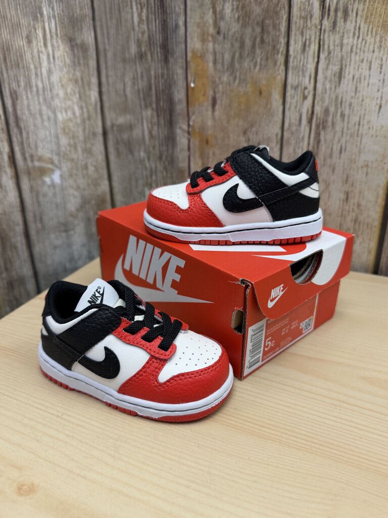 Dunk Low EMB NBA 75th Anniversary Chicago (TD) NEW w/ box