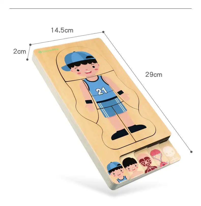 MEACAOFG Middle class science area human organs puzzle experiment teaching aids kindergarten class puzzle area materials early education toys