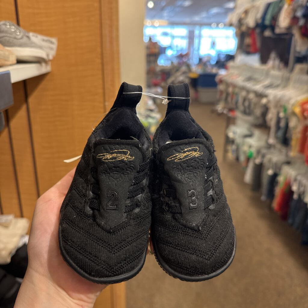 *Lebron 16