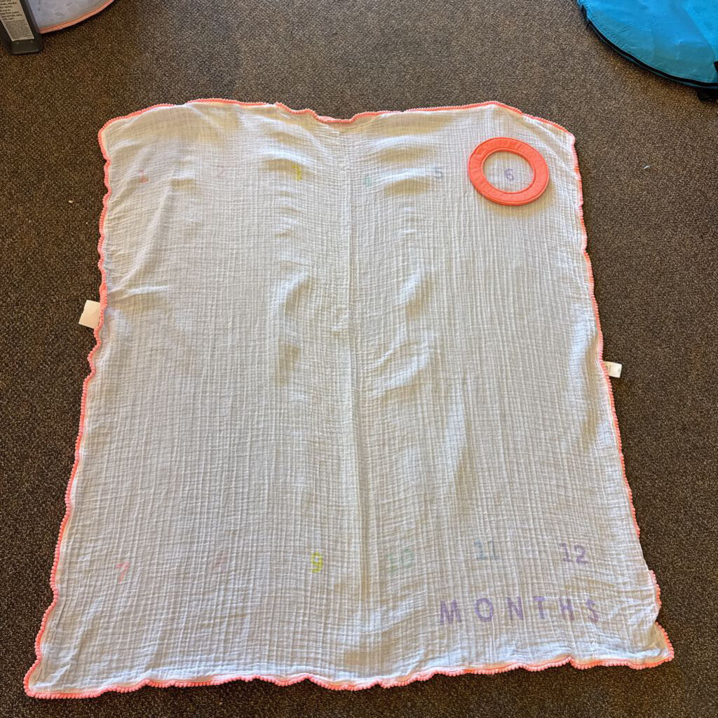*Milestone Blanket