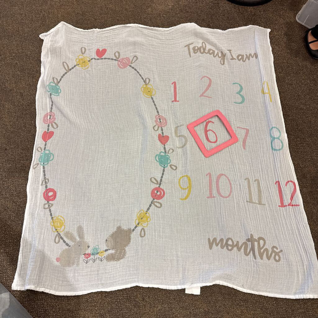 *Milestone Blanket