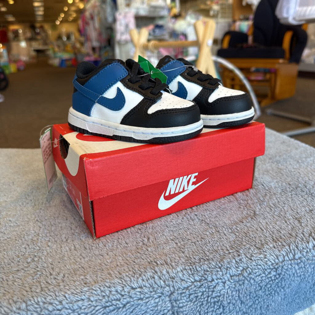 *Dunk Low TDE w/ Box