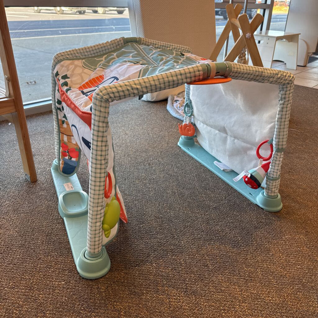 *3 in 1 crawl and play activity gym