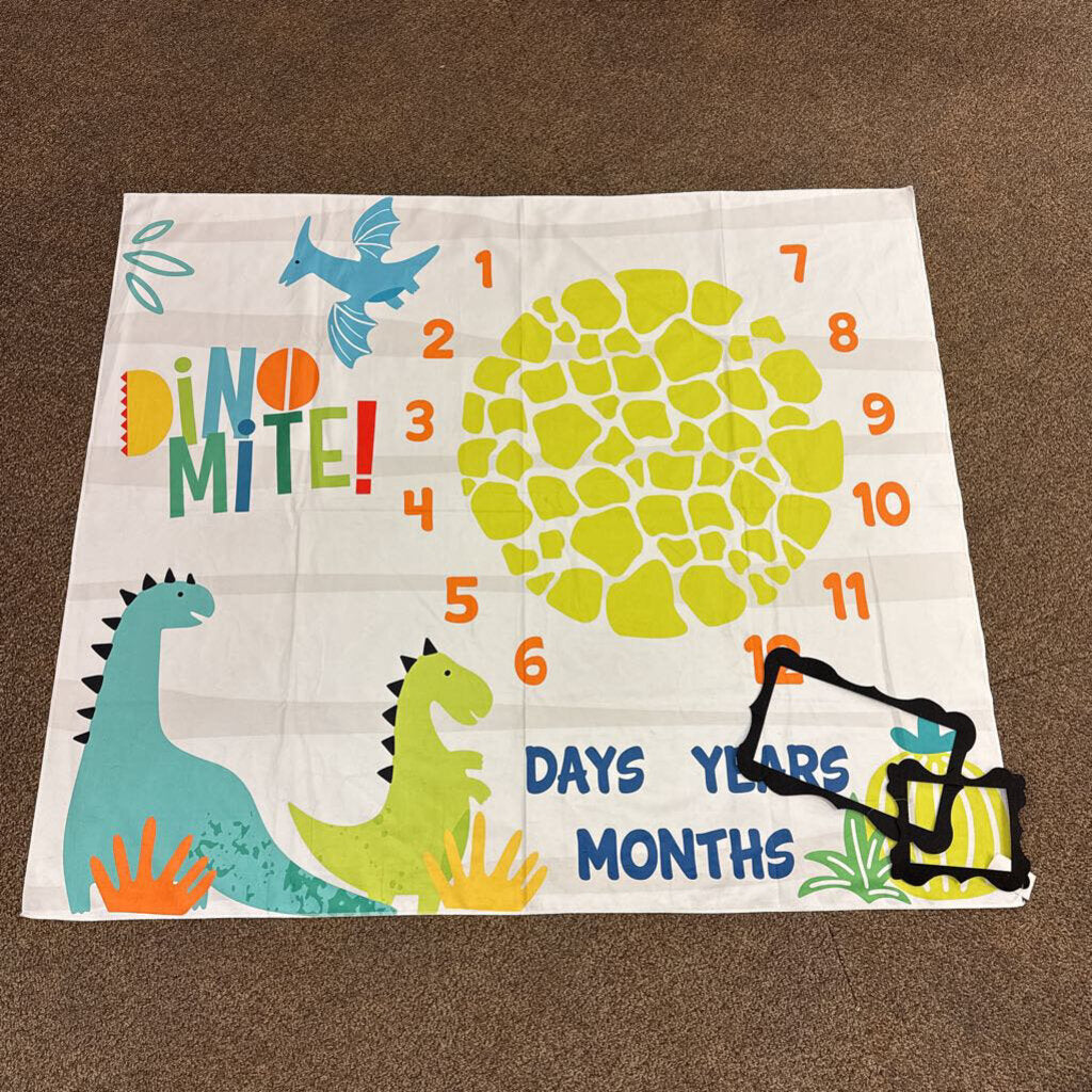 *Dino Mite Milestone blanket