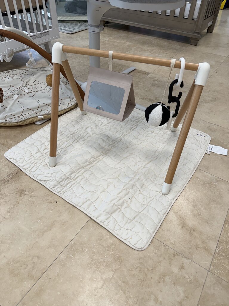 *Play Gym