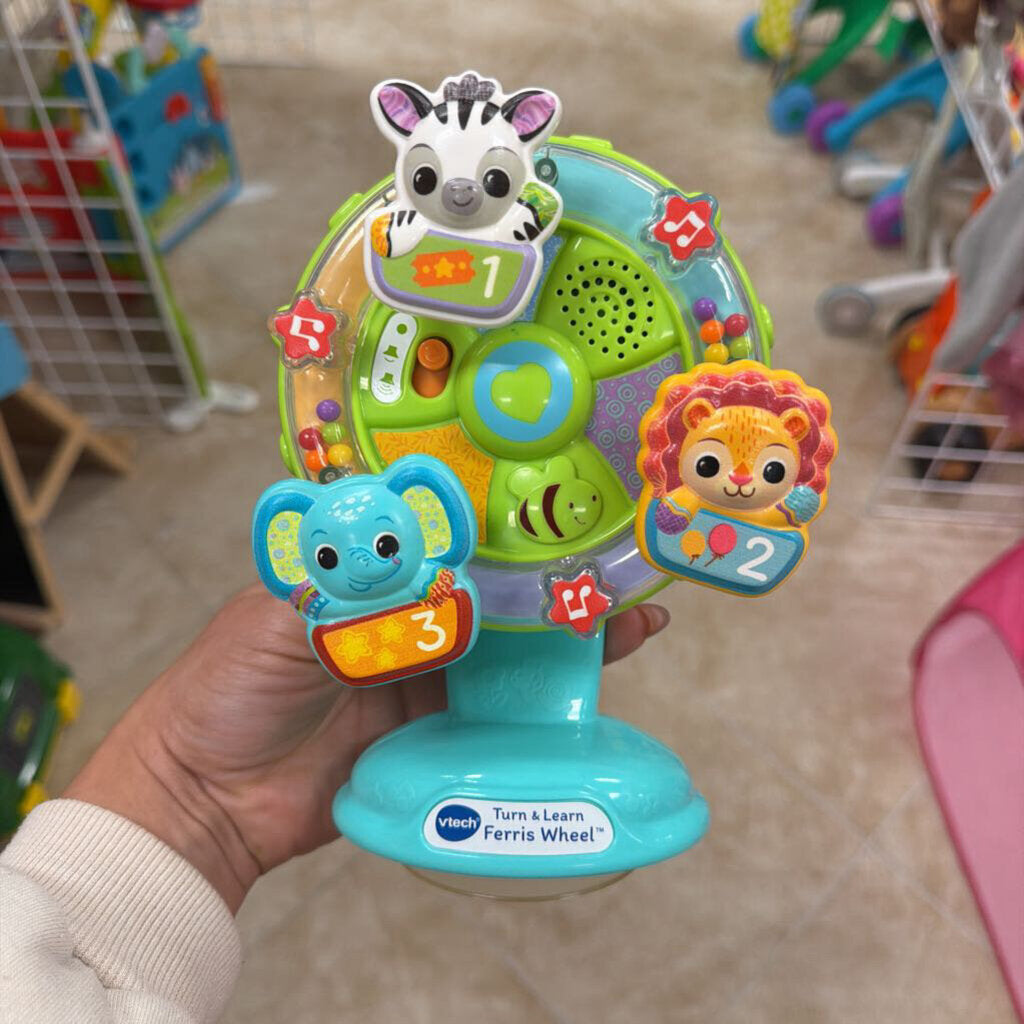 *Turn& Learn Ferris Wheel