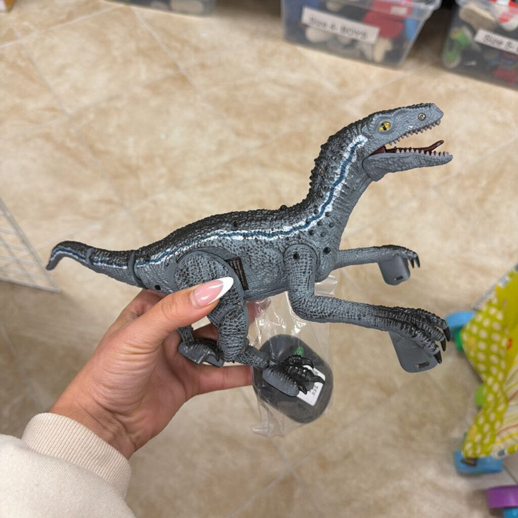 *RC Velociraptor w/remote