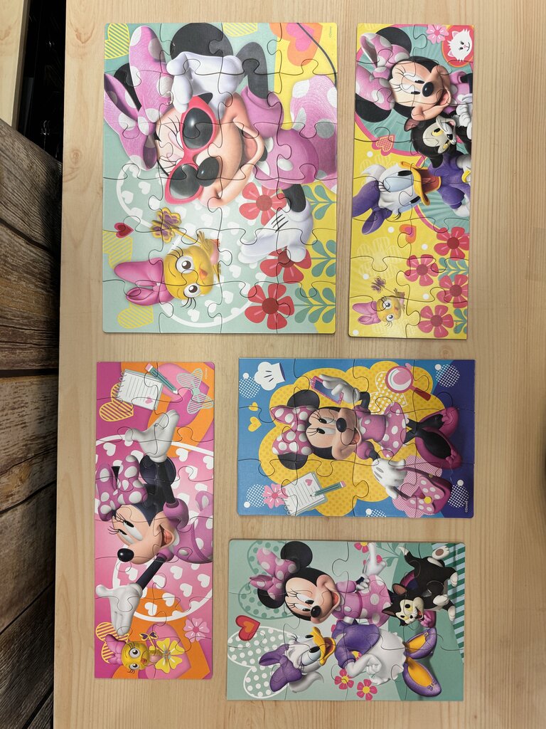*5pk Puzzles w/storage box