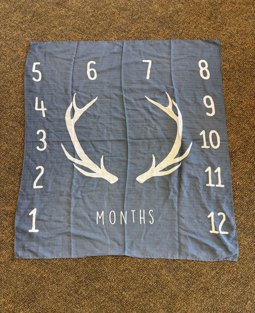 *milestone blanket