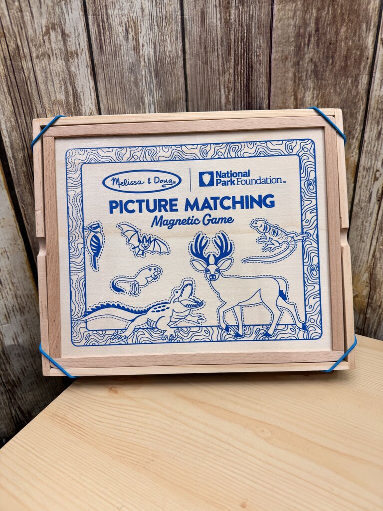 *Picture Matching Magnetic Game