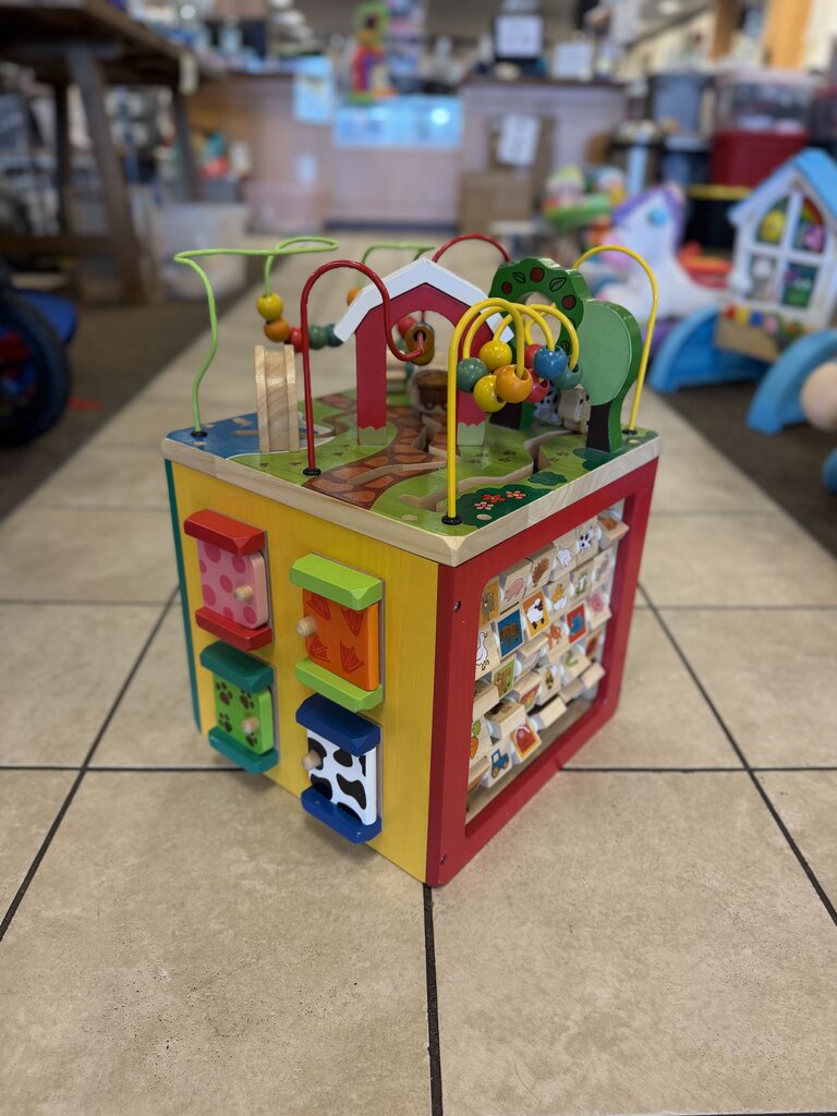 Wooden Activity Cube