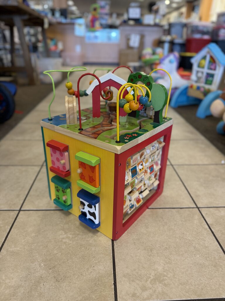 Wooden Activity Cube