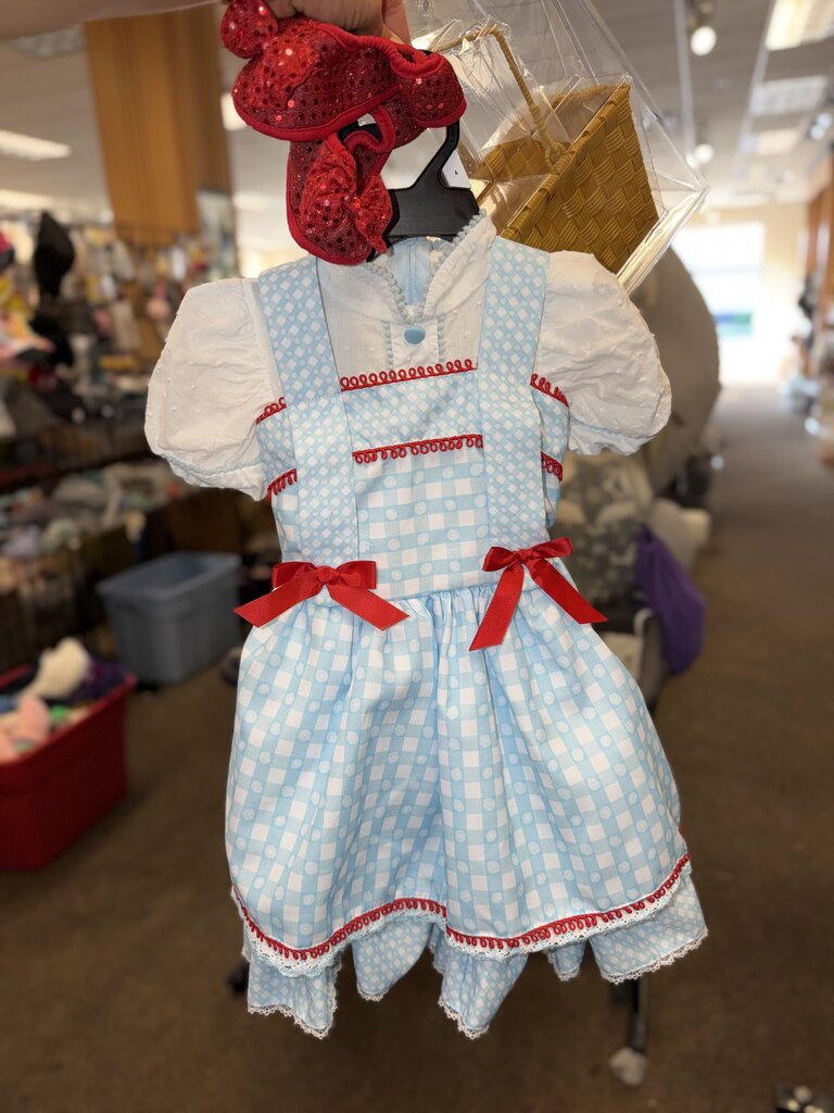 Wizard of Oz- Dorothy