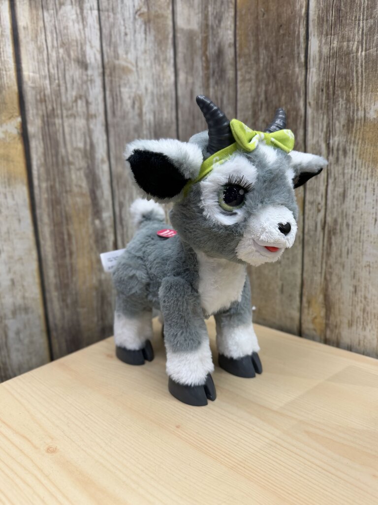 Daisy the Yoga Goat