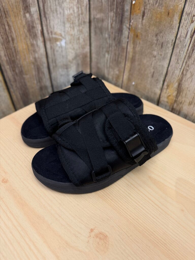 Original Dracoslides